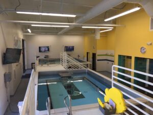 SwimLabs Above Ground Pool
